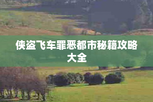 侠盗飞车罪恶都市秘籍攻略大全图片