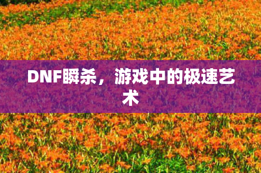 游戏中的极速艺术图片