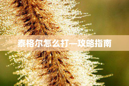 泰格尔怎么打图片