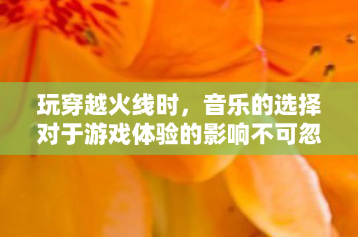 音乐的选择对于游戏体验的影响不可忽视图片