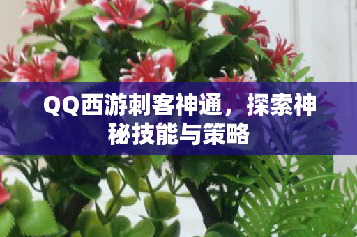 探索神秘技能与策略图片