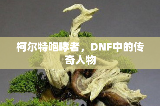 DNF中的传奇人物图片