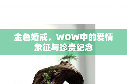 WOW中的爱情象征与珍贵纪念图片
