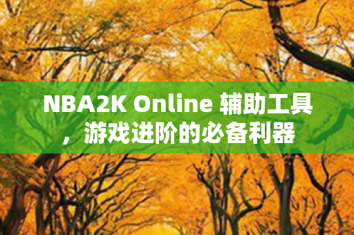 NBA2K Online 辅助工具图片