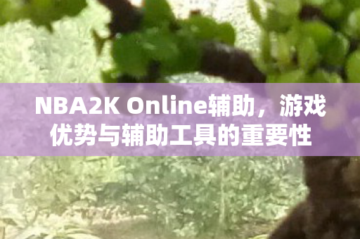 NBA2K Online辅助图片