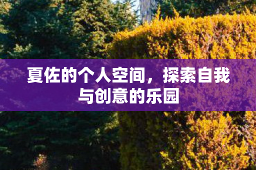 探索自我与创意的乐园图片