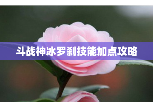 斗战神冰罗刹技能加点攻略图片