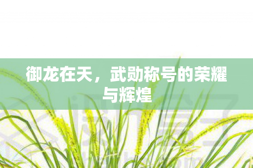 武勋称号的荣耀与辉煌图片