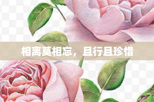 相离莫相忘图片
