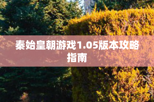 05版本攻略指南图片