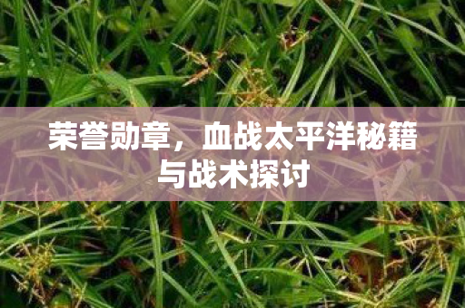 血战太平洋秘籍与战术探讨图片