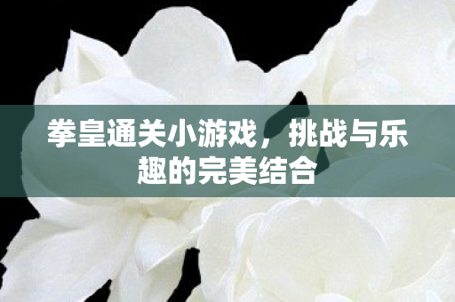 挑战与乐趣的完美结合图片