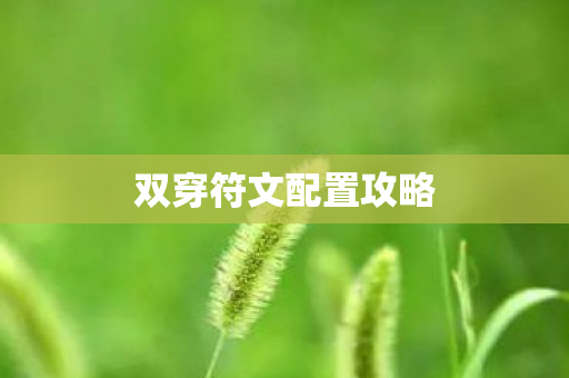 双穿符文配置攻略图片