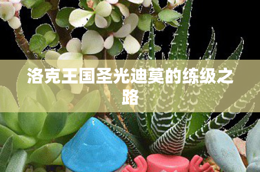 洛克王国圣光迪莫的练级之路图片