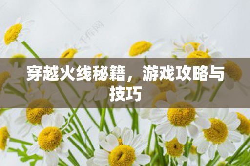 游戏攻略与技巧图片