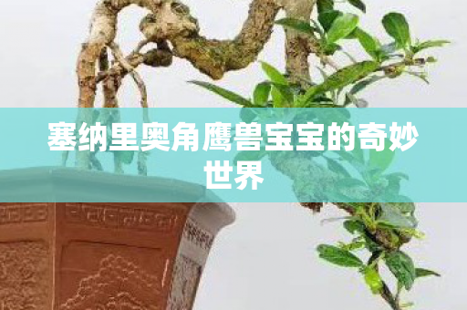 塞纳里奥角鹰兽宝宝的奇妙世界图片