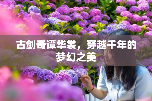 穿越千年的梦幻之美图片
