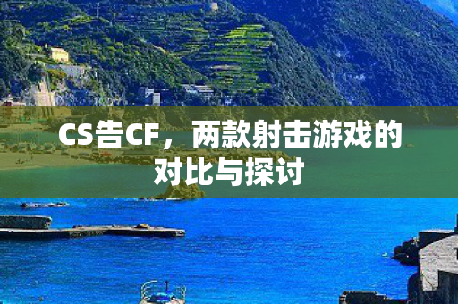 两款射击游戏的对比与探讨图片