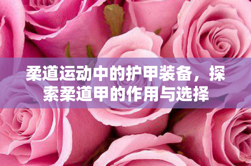 探索柔道甲的作用与选择图片