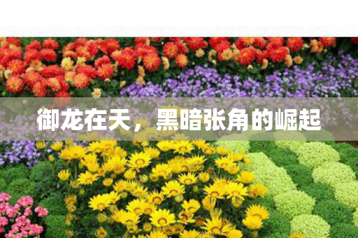 黑暗张角的崛起图片