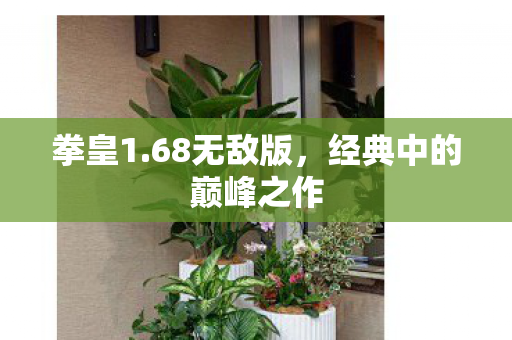 经典中的巅峰之作图片