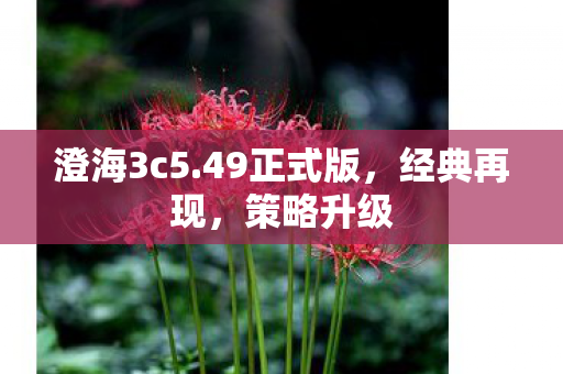 澄海3c5图片