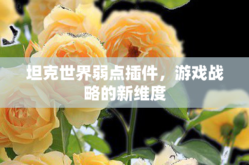 坦克世界弱点插件图片