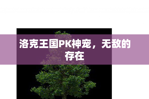 洛克王国PK神宠图片