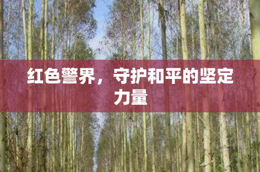 守护和平的坚定力量图片
