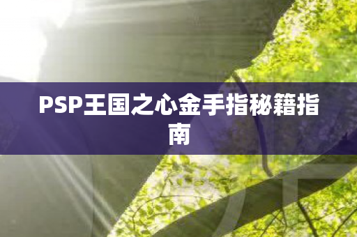 PSP王国之心金手指秘籍指南图片