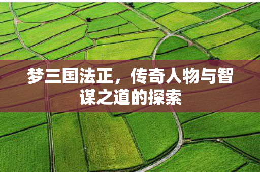 传奇人物与智谋之道的探索图片