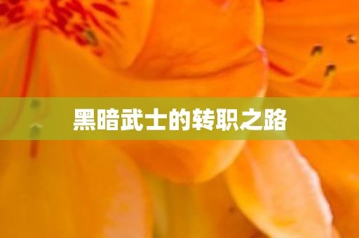黑暗武士的转职之路图片