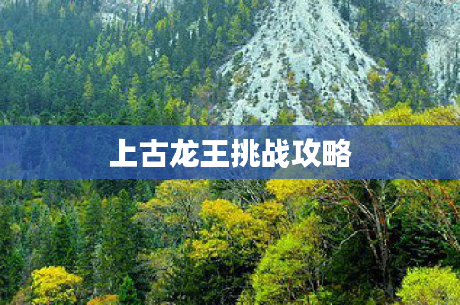 上古龙王挑战攻略图片