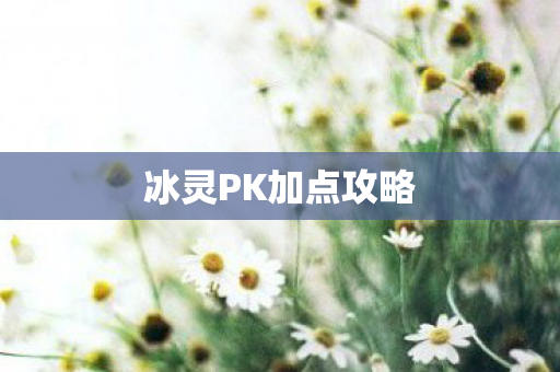 冰灵PK加点攻略图片