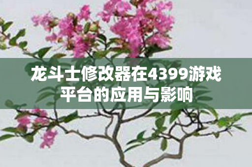 龙斗士修改器在4399游戏平台的应用与影响图片