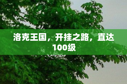 直达100级图片