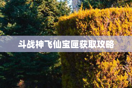 斗战神飞仙宝匣获取攻略图片