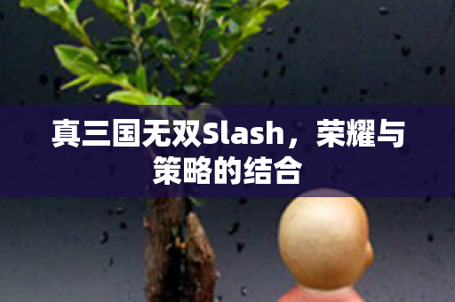 真三国无双Slash图片