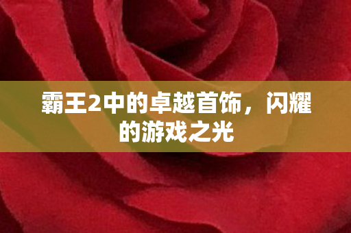 霸王2中的卓越首饰图片
