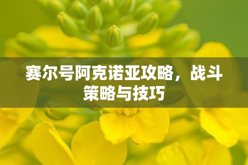 赛尔号阿克诺亚攻略图片