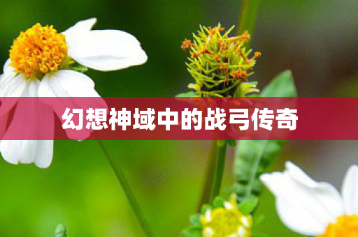 幻想神域中的战弓传奇图片