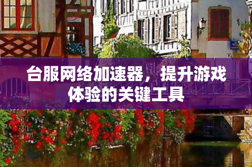 提升游戏体验的关键工具图片
