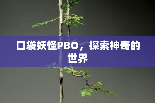 口袋妖怪PBO图片