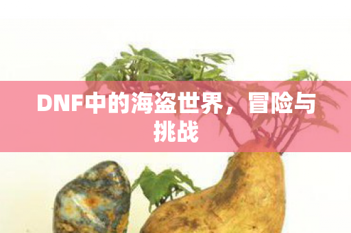 DNF中的海盗世界图片