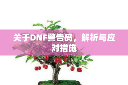 关于DNF警告码图片