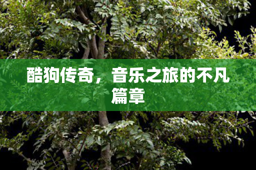 音乐之旅的不凡篇章图片