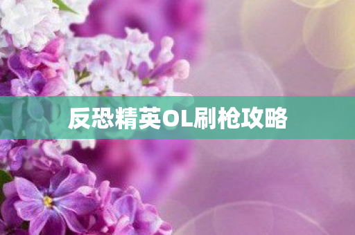反恐精英OL刷枪攻略图片