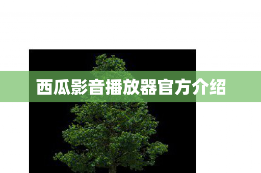西瓜影音播放器官方介绍图片
