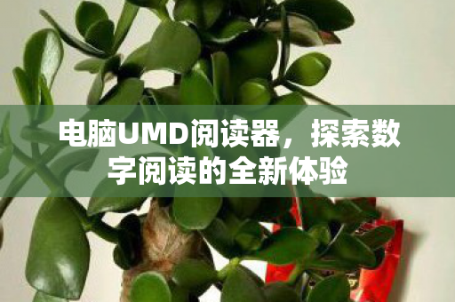 探索数字阅读的全新体验图片