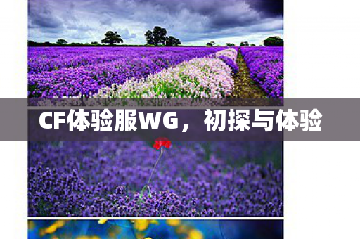 CF体验服WG图片